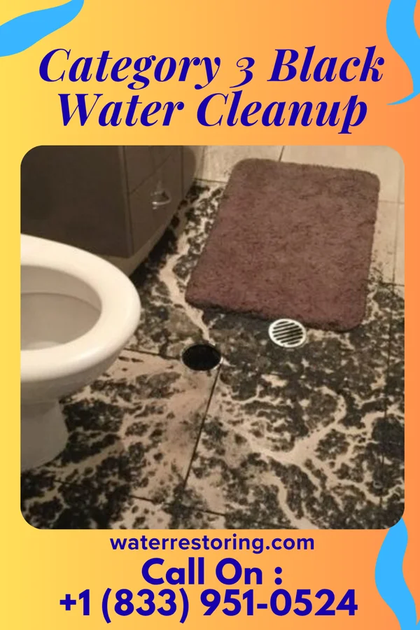 Category 3 Black Water Cleanup in Aberdeen Gardens, WA