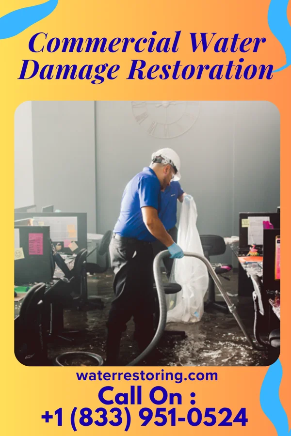 Commercial Water Damage Restoration in Aberdeen Gardens, WA