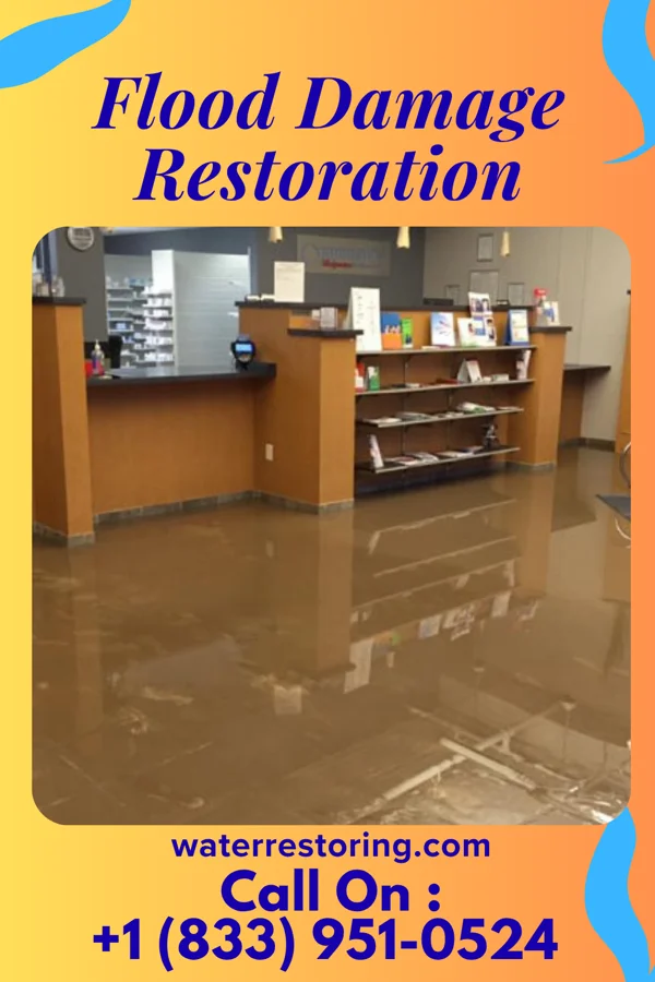 Flood Damage Restoration in Aberdeen Gardens, WA