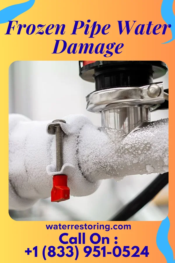 Frozen Pipe Water Damage in Aberdeen Gardens, WA